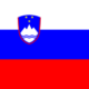 Flag_of_Slovenia.svg